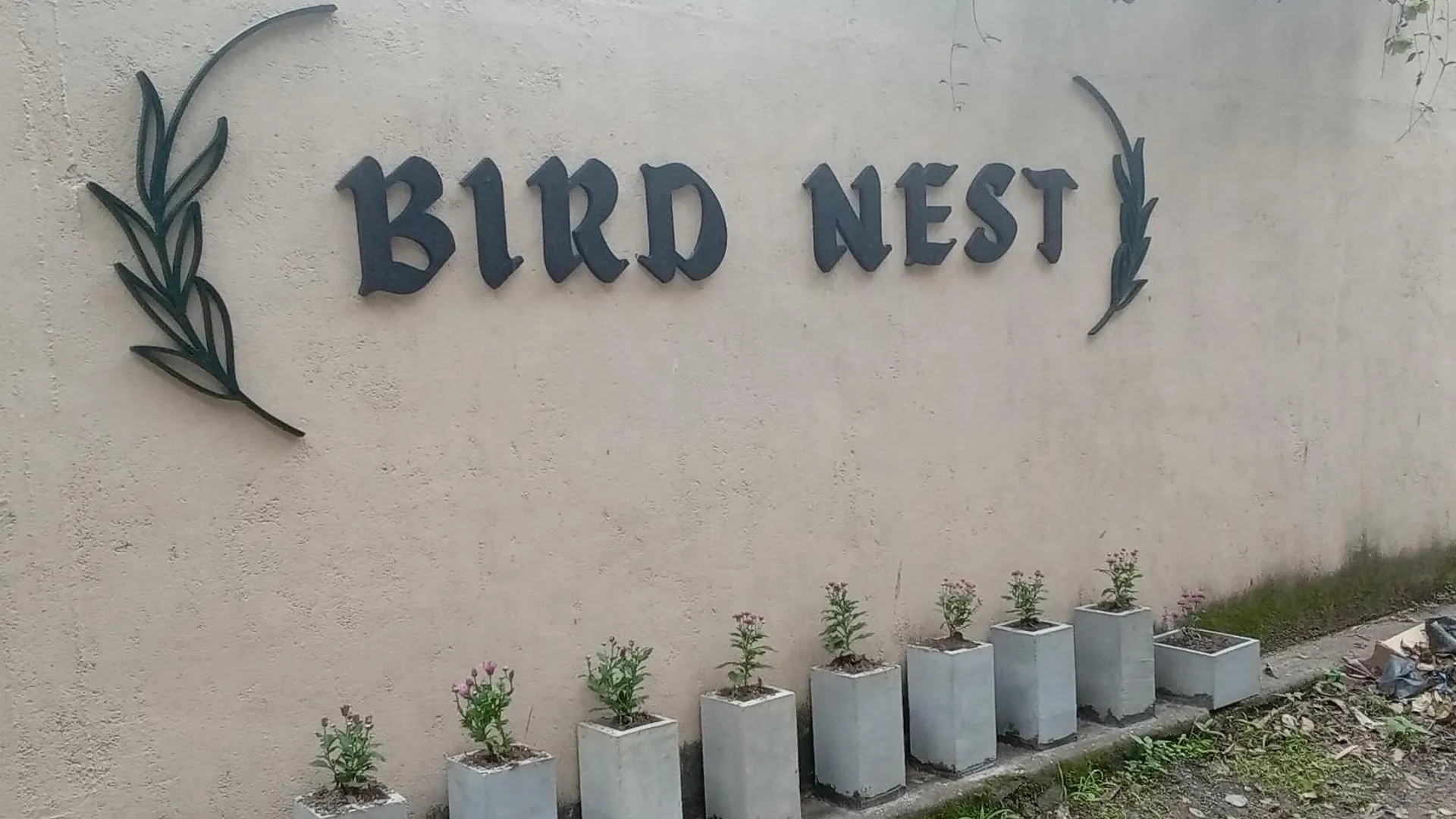 Hétvégi ház Bird Nest - Hanthana Kandy